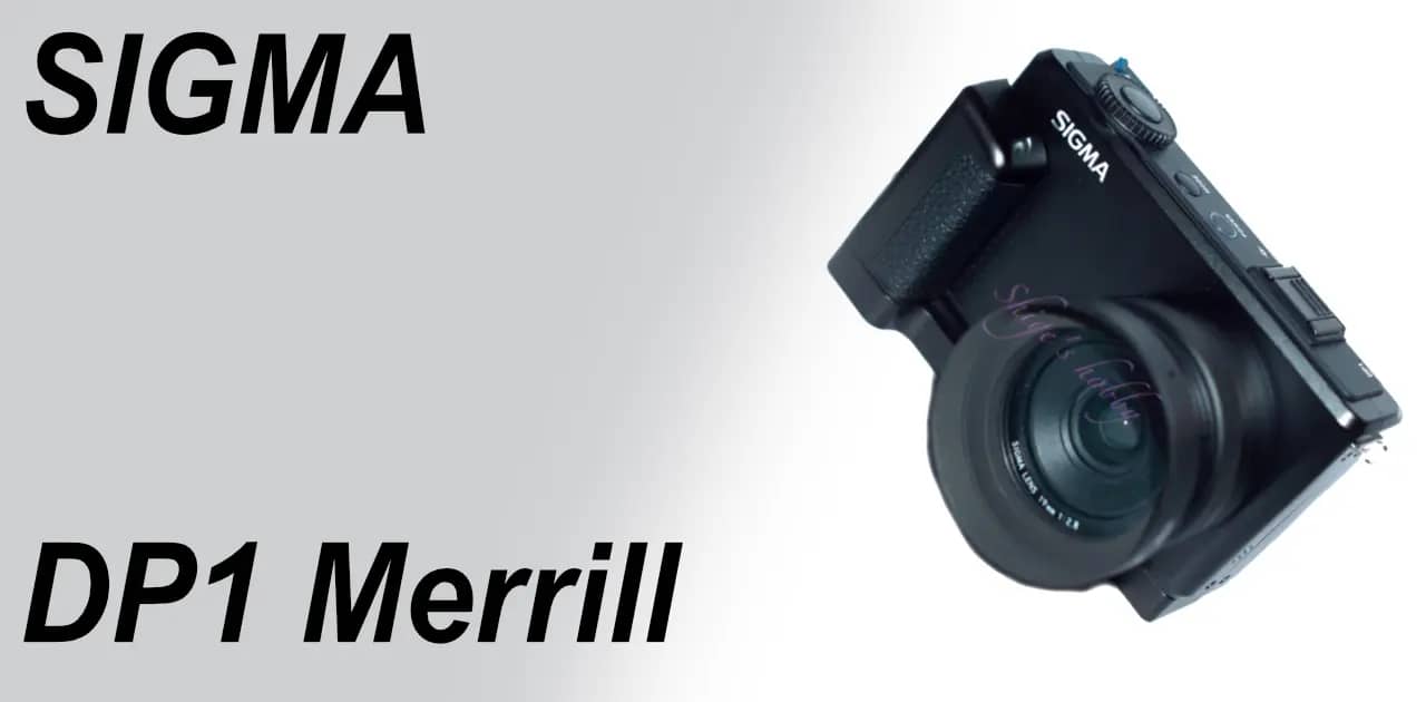 DP1 Merrill: Halfway to becoming a snap shooter