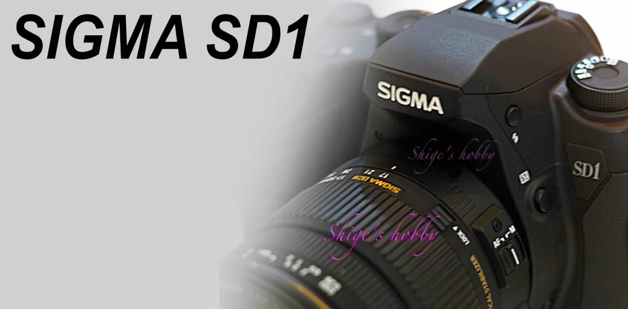 The top of FOVEON DSLR SIGMA SD1