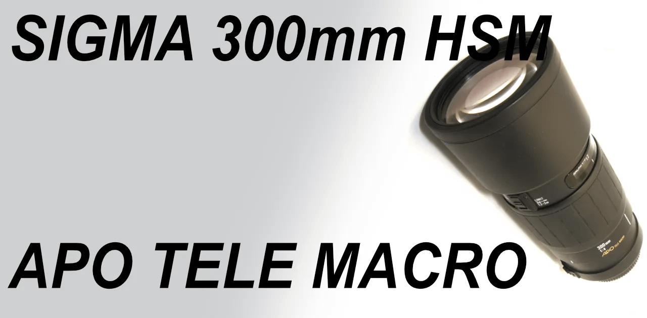 SIGMA APO TELE MACRO 300mm F4 HSM