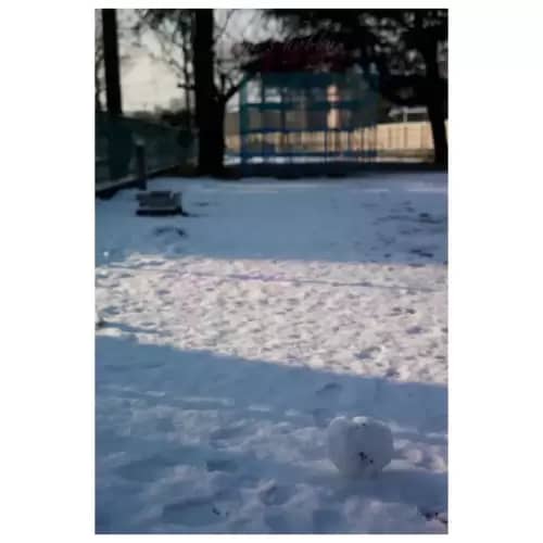 Snow view・雪景