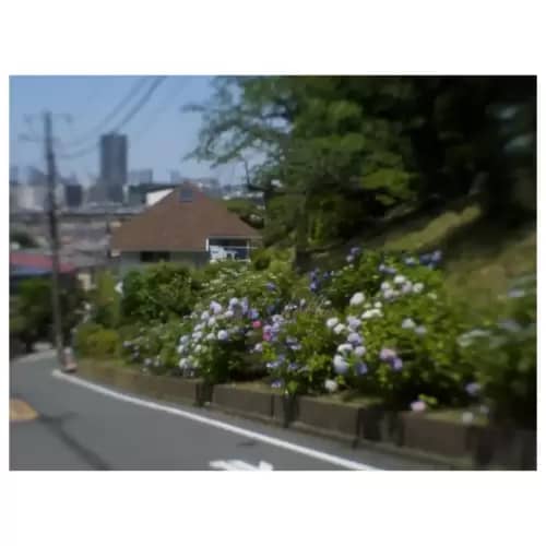 遠景・Distant view