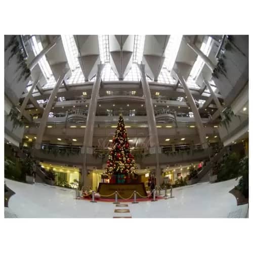 クリスマスツリー・Christmas' tree
